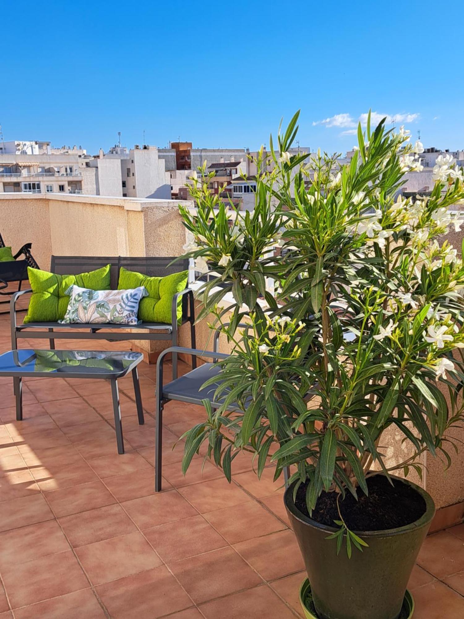 Atico Roof Top Torrevieja Exteriér fotografie